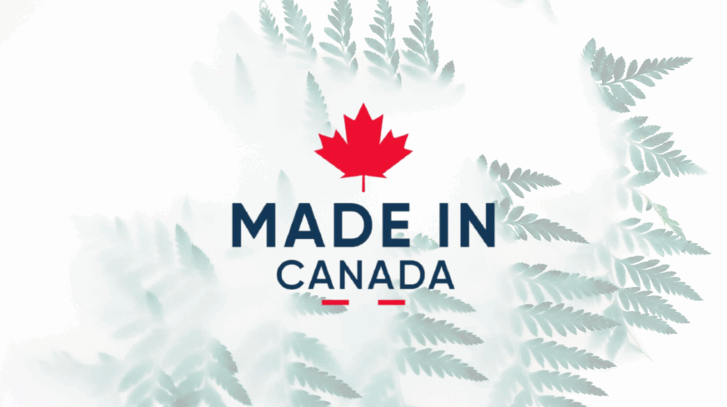 Majid Kazmi Stralent Brand Management Canada